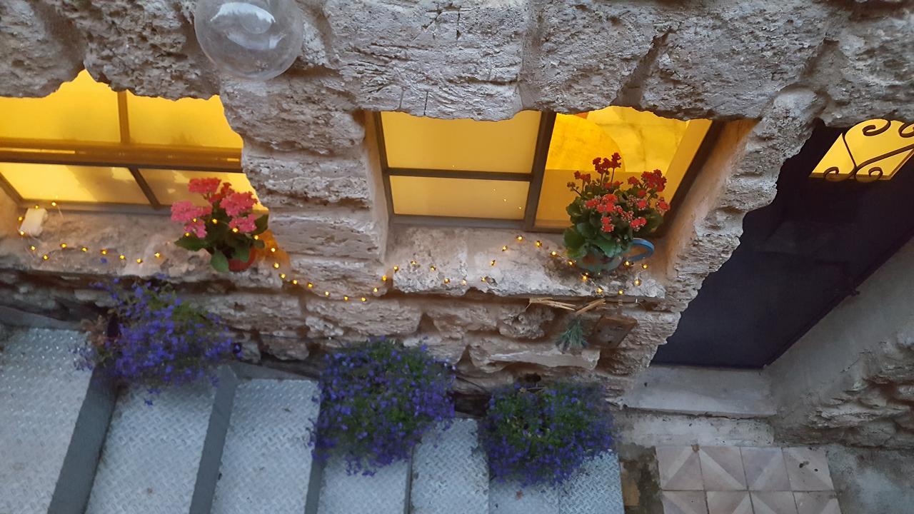 The House Of Taly & Erez Hotel Netaim Eksteriør billede